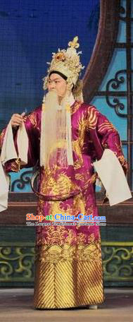 Fan Lihua Return Tang Chinese Guangdong Opera Elderly Male Apparels Costumes and Headwear Traditional Cantonese Opera Duke Garment Lord Clothing
