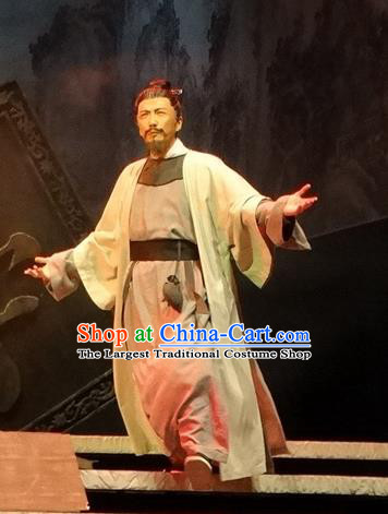 Chinese Traditional Song Dynasty Provincial Governor Clothing Stage Performance Historical Drama Han Wengong Apparels Costumes Ancient Scholar Han Yu Garment and Headwear