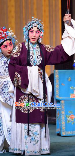 Chinese Hebei Clapper Opera Young Mistress Garment Costumes and Headdress The Butterfly Chalice Traditional Bangzi Opera Actress Dress Hua Tan Apparels