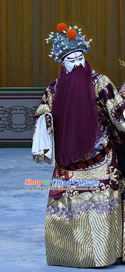 In Extremely Good Fortune Chinese Bangzi Opera Jing Role Apparels Costumes and Headpieces Traditional Hebei Clapper Opera Elderly Male Garment Lord Sun Quan Clothing
