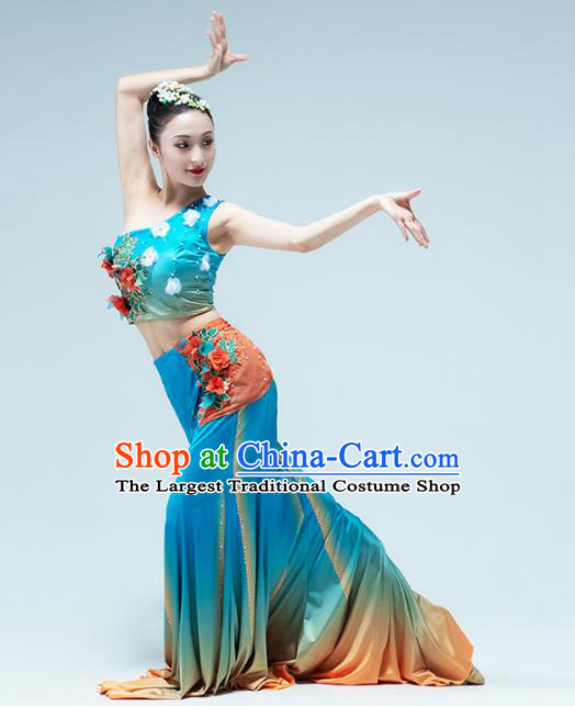China Dai Nationality Folk Dance Blue Dress Traditional Yunnan Ethnic Peacock Dance Stage Performance Clothing