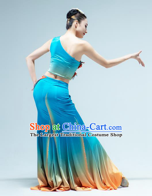 China Dai Nationality Folk Dance Blue Dress Traditional Yunnan Ethnic Peacock Dance Stage Performance Clothing