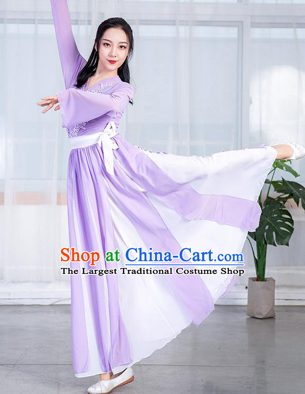 China Stage Performance Fashion Umbrella Dance Training Clothing Classical Dance Lilac Chiffon Dress