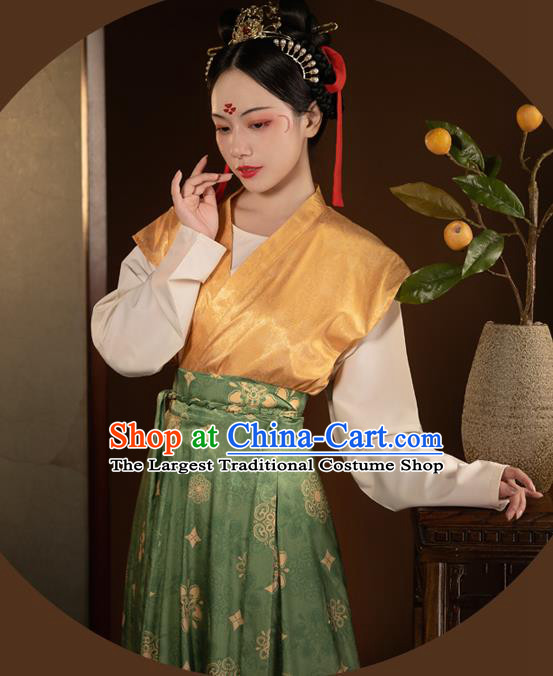 China Ancient Palace Lady Historical Clothing Tang Dynasty Young Beauty Hanfu Dress for Women