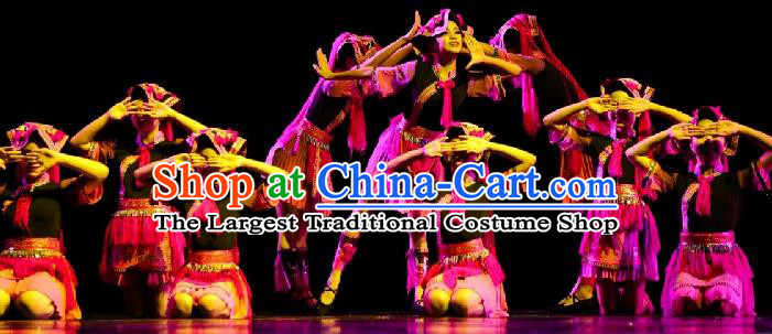 Chinese Yi Minority Dance Outfits Ethnic Stage Performance Garment Costumes Sichuan Nationality Folk Dance Dress Clothing