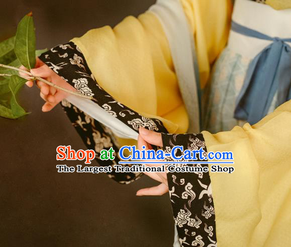 China Traditional Court Beauty Historical Costume Ancient Palace Lady Clothing Song Dynasty Imperial Consort Hanfu Dresses