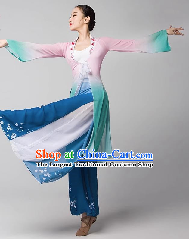 Classical Dance Chinese Ancient Style Gauze Body Elegant Shawl Performance Dance Clothing Practice Clothing Dream Catcher Adult Chiffon