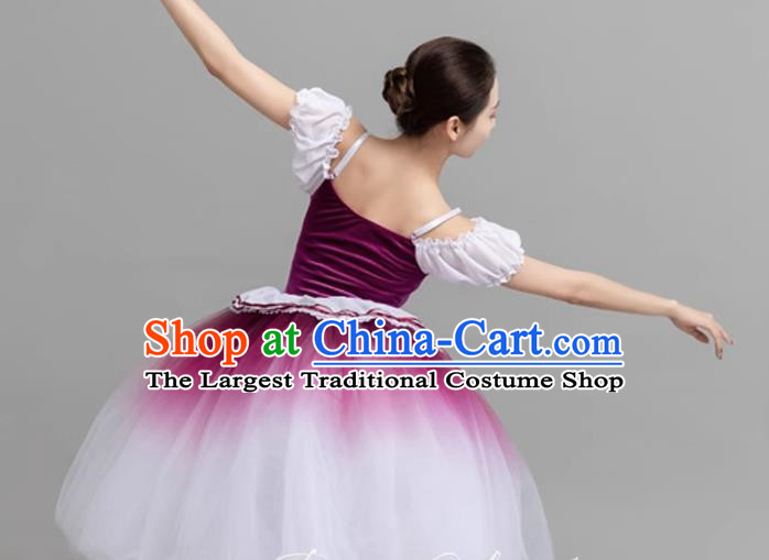 Children Spring And Summer Gauze Skirt Gradient Middle Child Long Princess Lace Stage Costume Performance Costume Li Dress Skirt