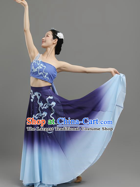 China Classical Dance Dance Under The Moon Dance Costume Big Skirt Practice Art Test Performance Dance Performance Costume