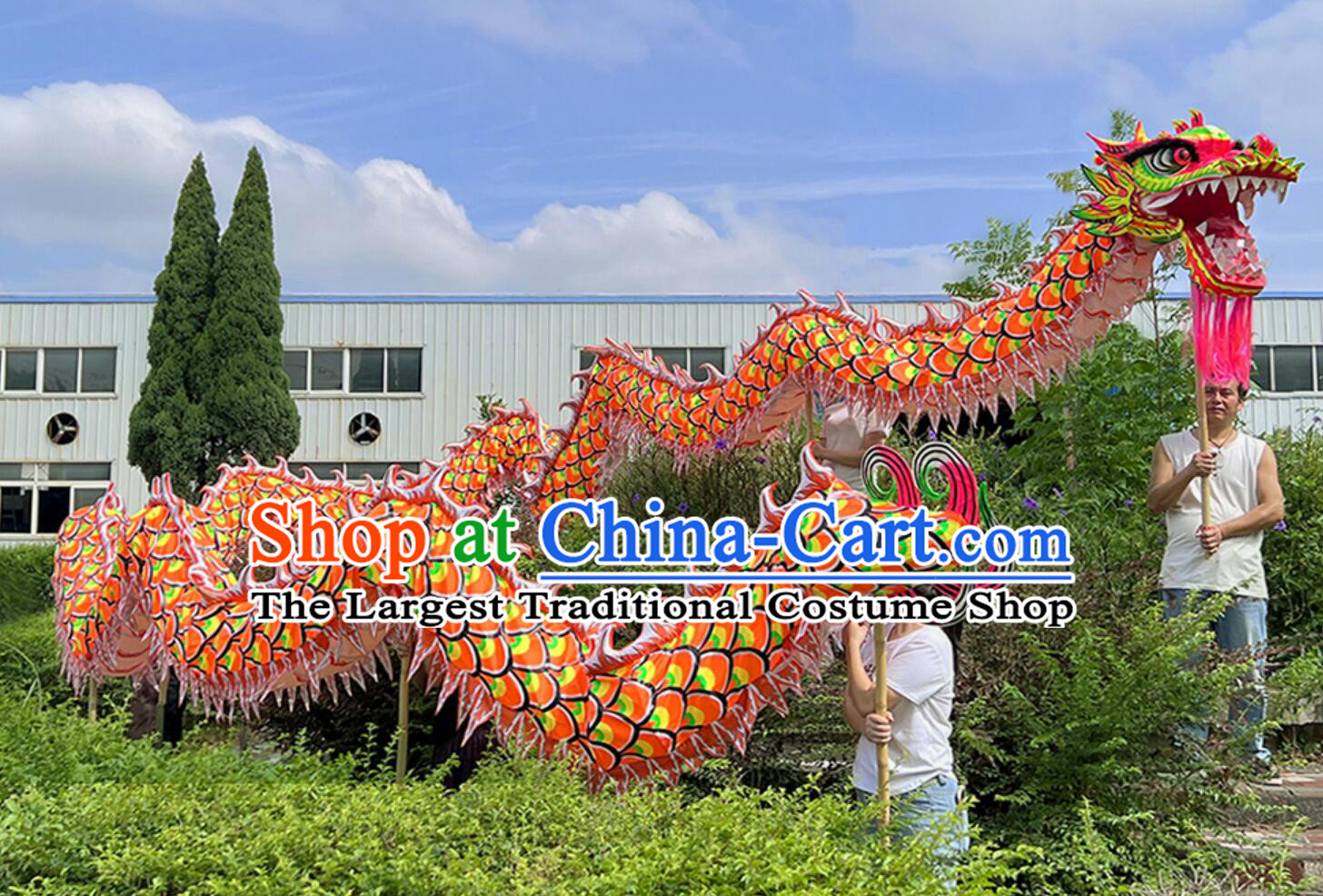 Chinese Northern Competition Dancing Dragon Handmade New Year Luminous Dragon Head Celebration Parade Dance Dragon Costume Complete Set