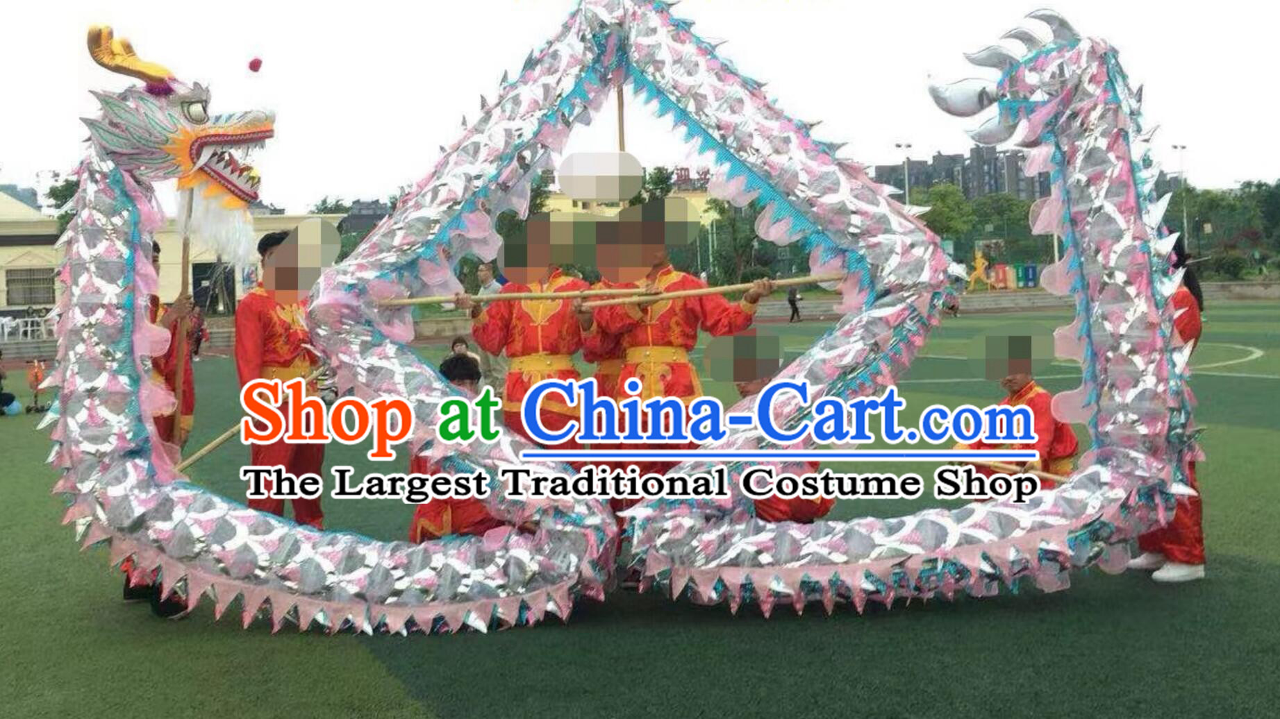 Chinese Dragon Dance Argent Net Costume Celebration Parade Dragon Costume Professional Competition Dragon Dancing Prop