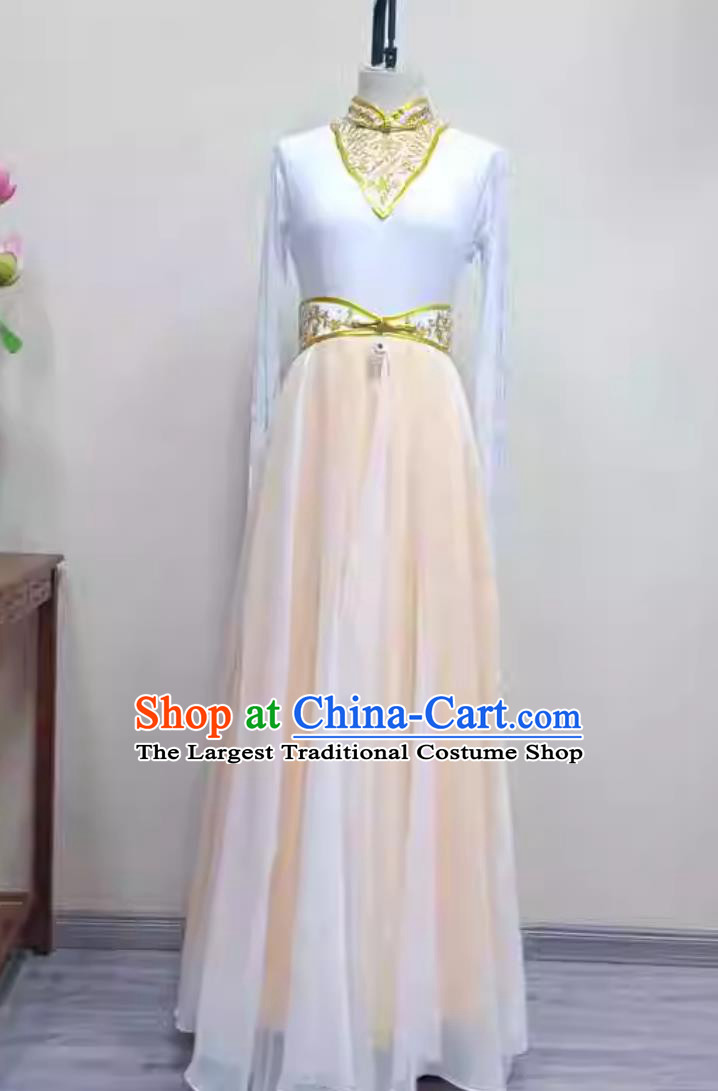 Chinese Mongolia Dance Costume Women Group Performance Dress China Dance Contest Clothing