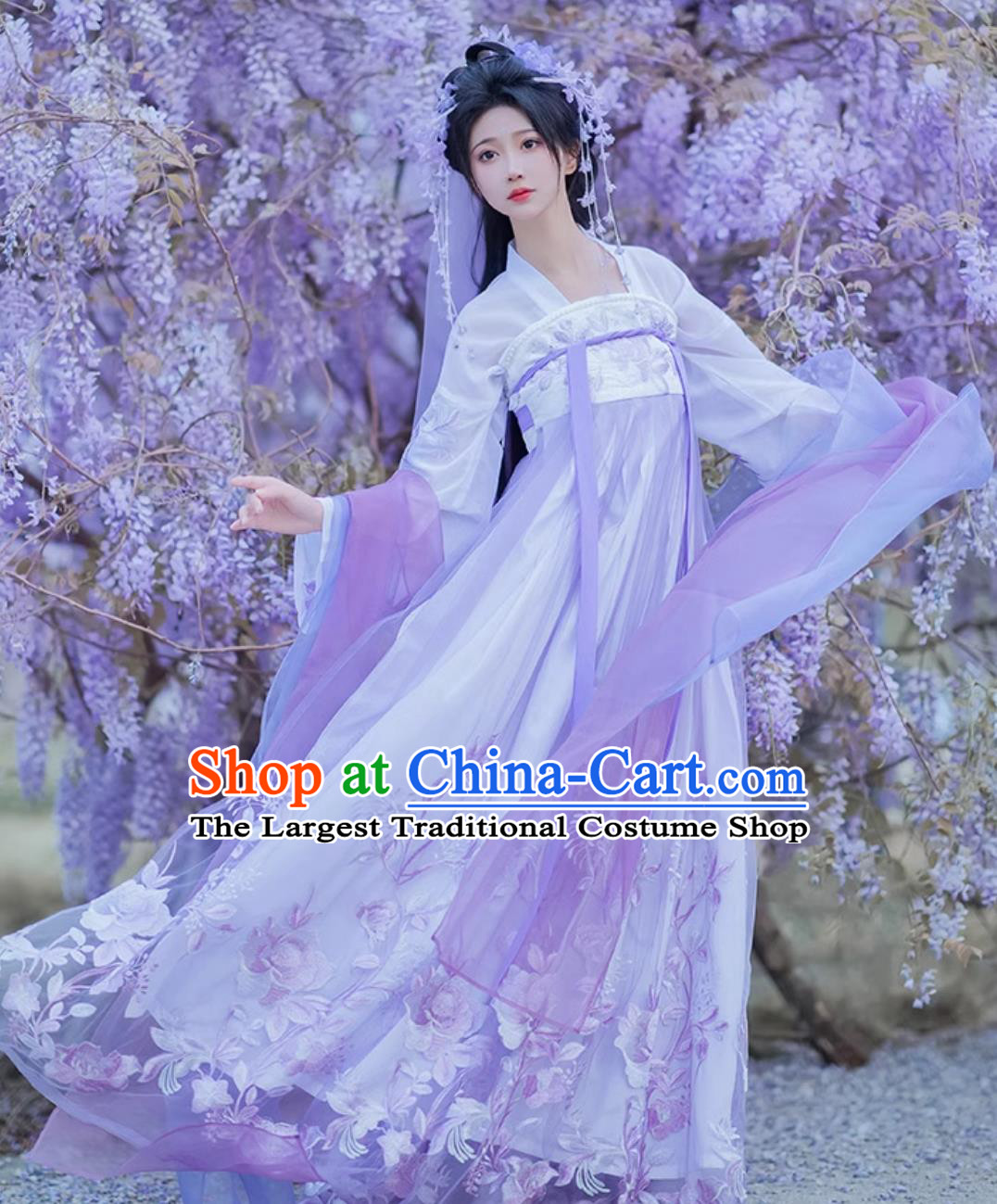 Ancient China Young Woman Costume Chinese Traditional Clothing Tang Dynasty Princess Hanfu Purple Ru Qun