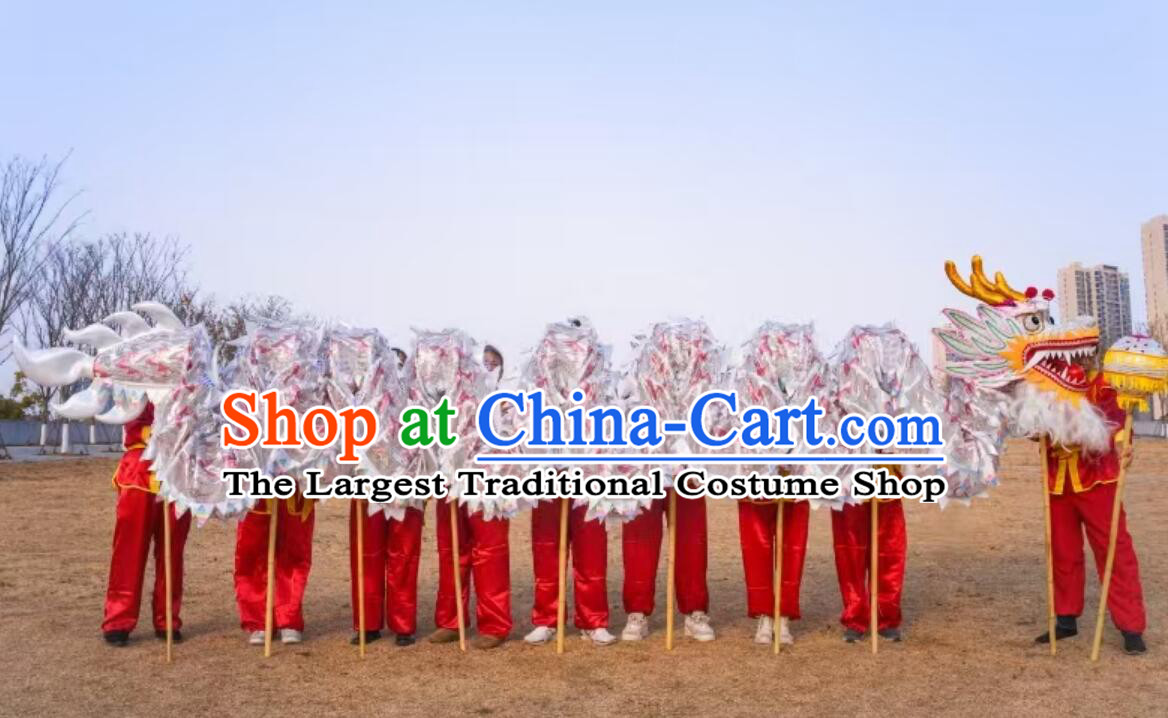 Celebration Parade Silver Dragon Costume Professional Competition Dragon Dancing Prop Chinese Dragon Dance Net Costume