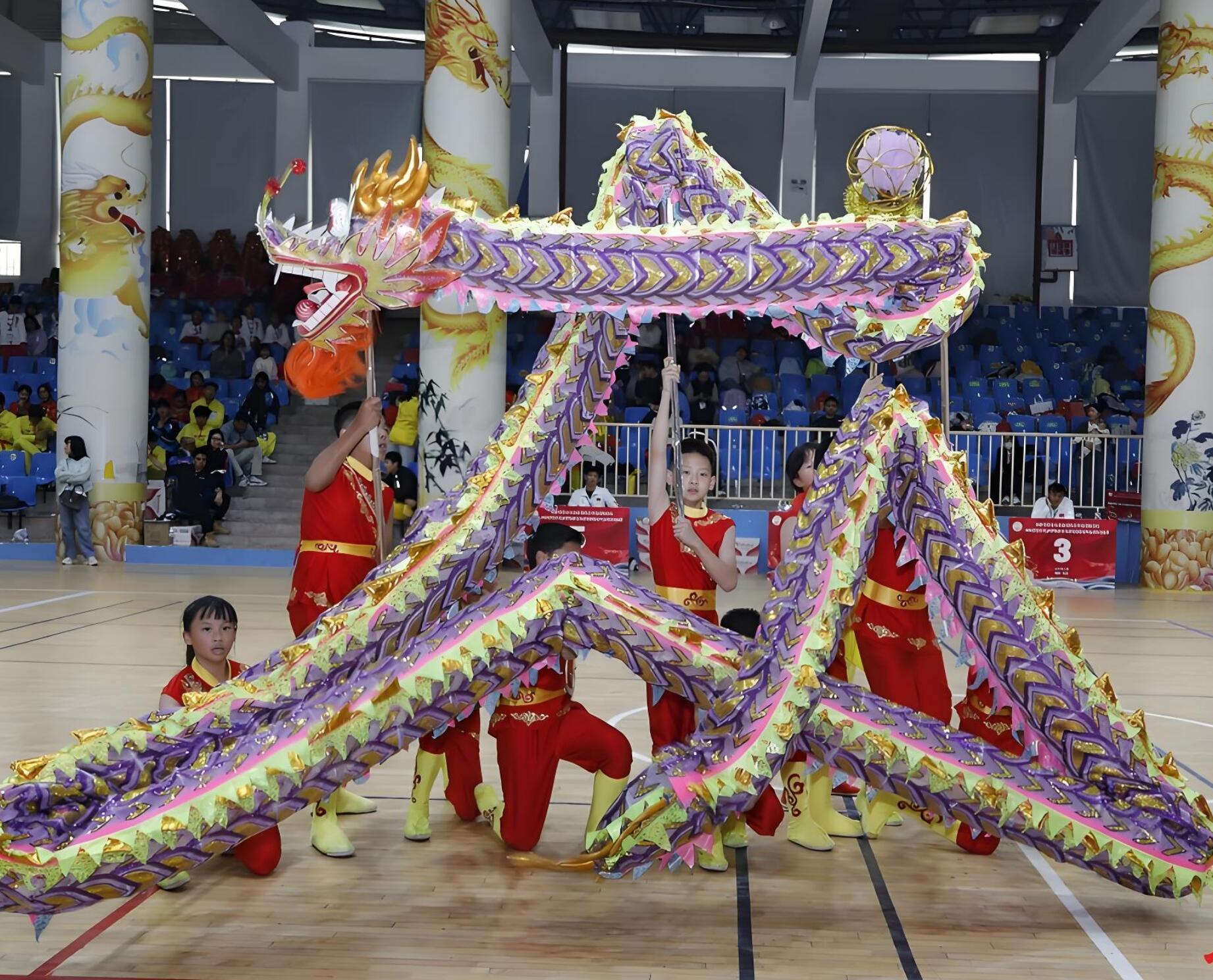 Chinese Festival Celebration Prop Net Dragon Dance Equipment Loong Dance Costume