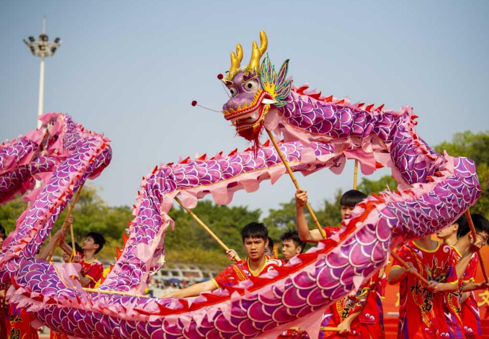Purple Loong Dance Costume Chinese Traditional Festival Dragon Dancing Props Dragon Dance Equipment