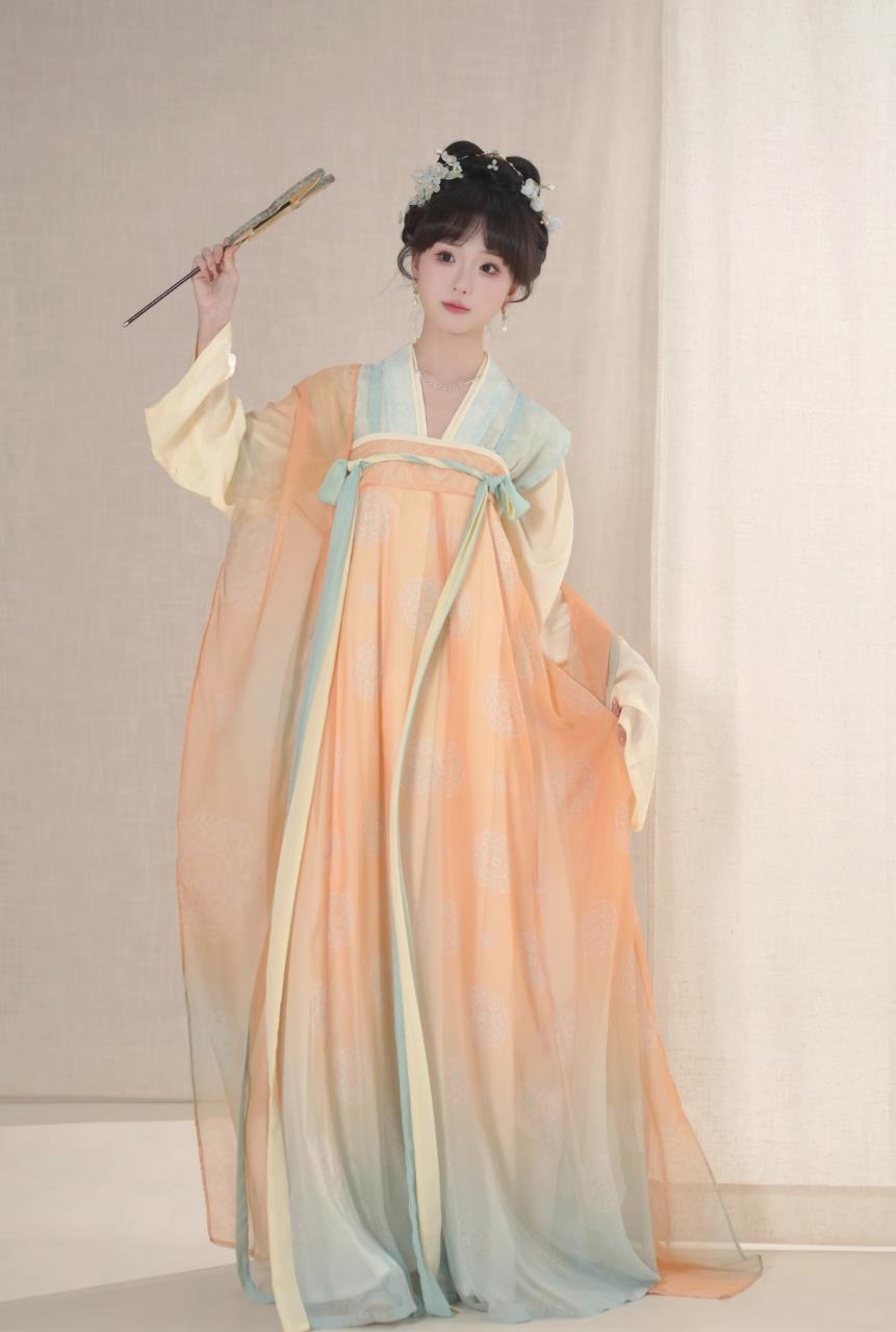 Chinese Hanfu Tang Dynasty Beizi High Waisted Ruqun Complete Set