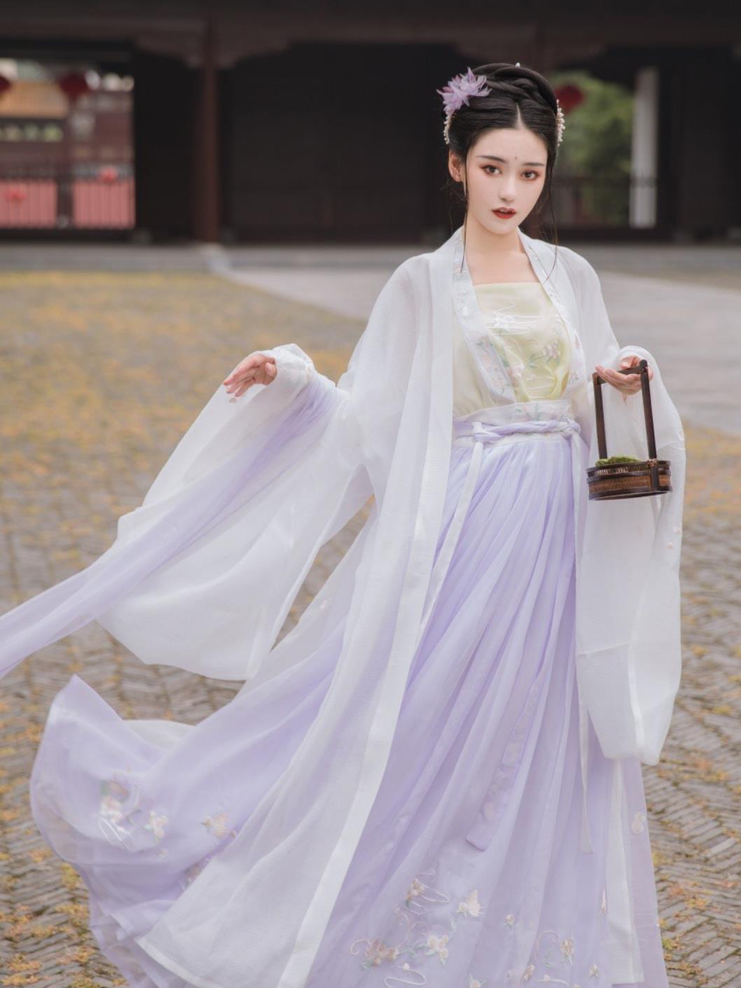Chinese Hanfu Dress Tang Dynasty High Waist Ruqun