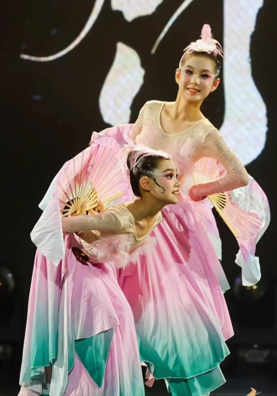 Jiaozhou Dance Costume Forest Bird Tale Classical Dance Yangko Performance Costume Chinese Stage Performance Dress