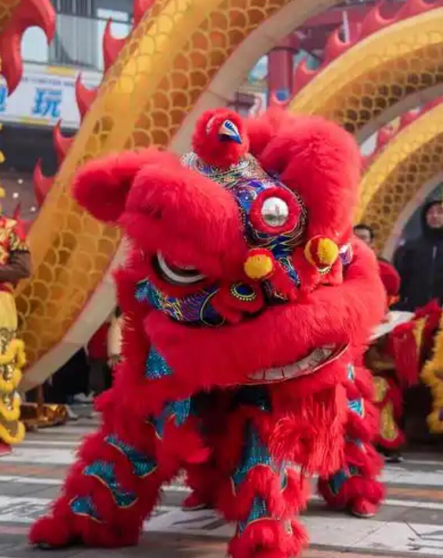 Red Wool Traditional Lion Dance Costume Handmade Fut San lion Head Chinese Festival Celebration Equipment Complete Set