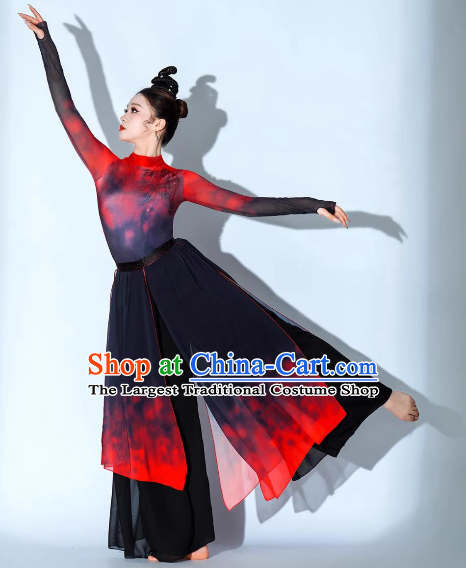 Xiang Wang Xing Dance Costume Chinese Classical Dance Fan Dance Clothing Jazz Dance Outfit