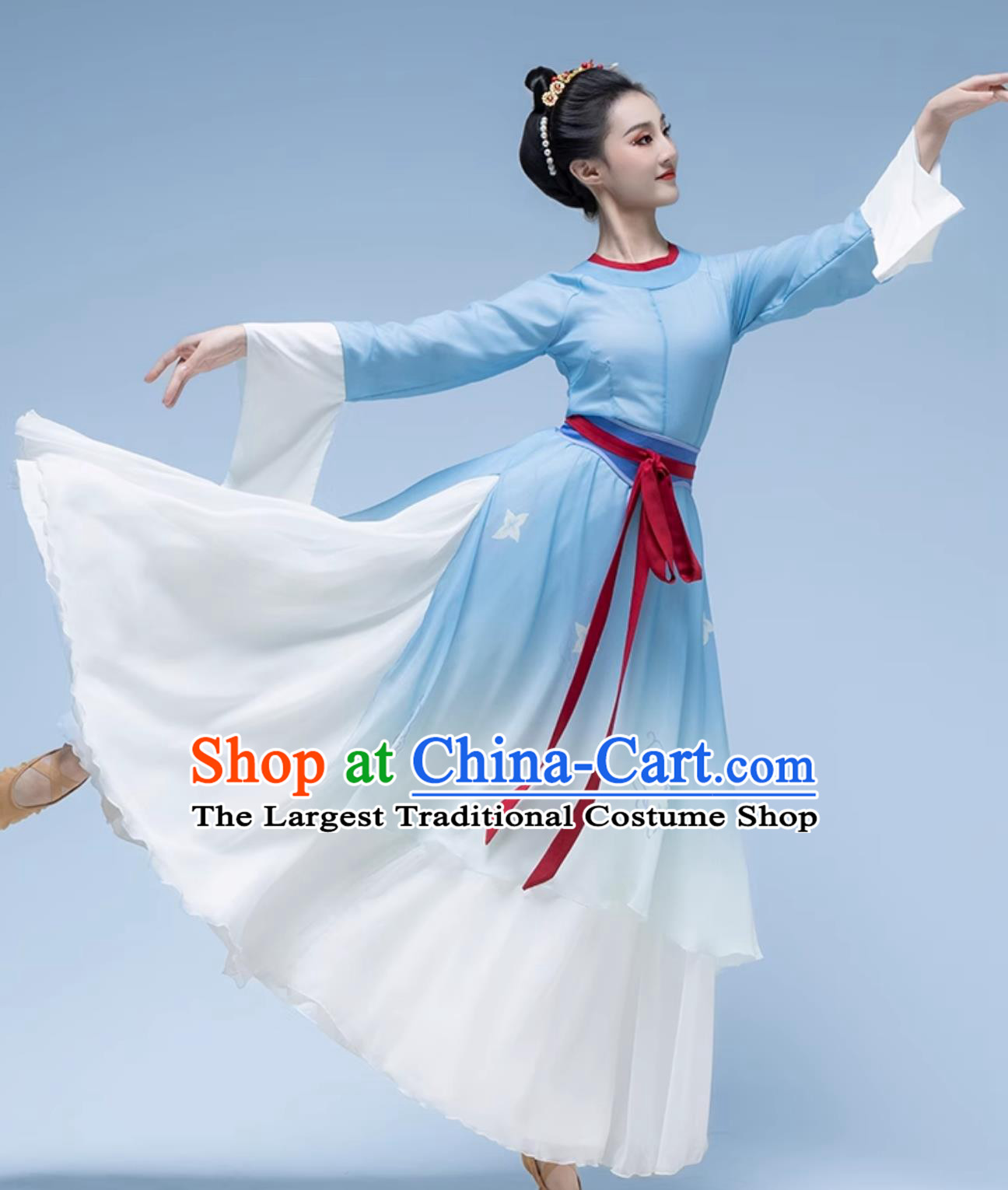 Plum Blossom Border Contemplation Solo Dance Costume Classical Dance Performance Clothing Chinese Ancient Fairy Blue Dress