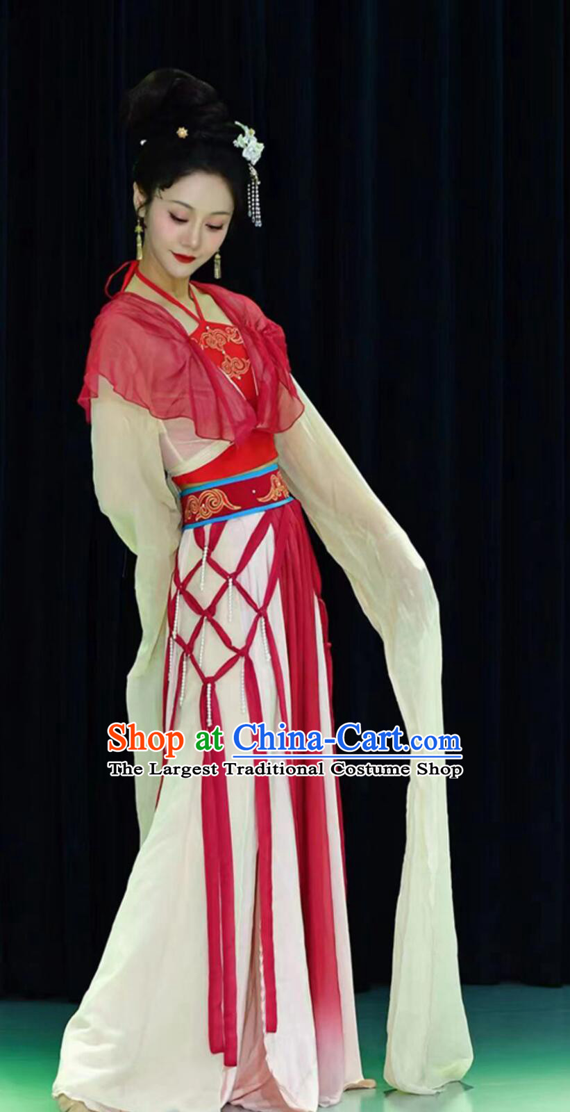 Dream Startles The Swan Classical Dance Costume Divination Tang Water Sleeve Performance Dress Chinese Women Hanfu Stage Outfit
