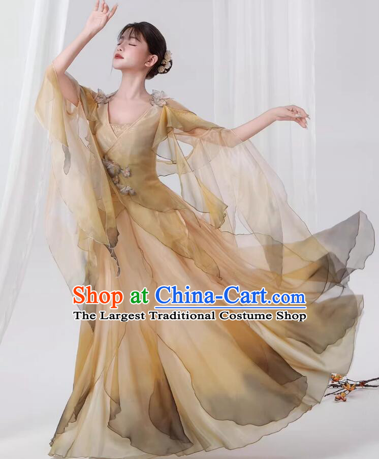 Butterfly Dance Dress Chinese Classical Dance Clothing Woman Solo Dance Costume