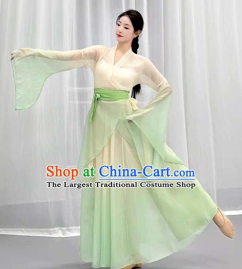 Wide Sleeve Green Hanfu Dress Woman Solo Dance Clothing Chinese Classical Dance Costume