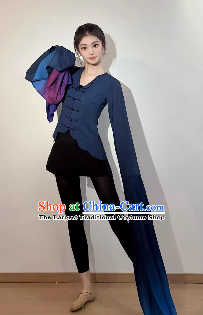 Chinese Classical Water Sleeve Dance Practice Costume Peking Opera Performance Top for Women