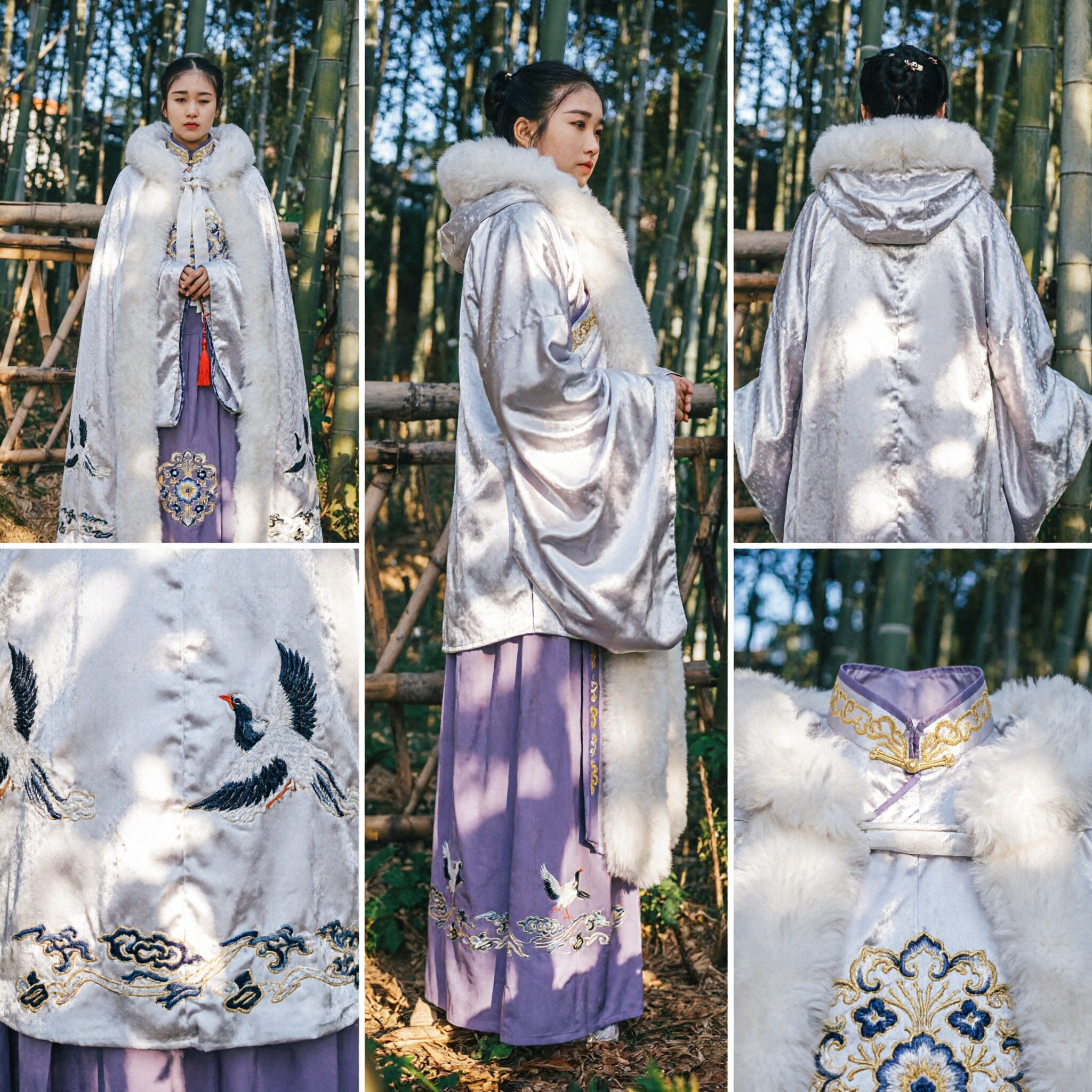 Capa Hanfu Tradicional Chinesa de Inverno com Gola de Pele Branca Capa Bordada da Dinastia Ming Traje para Mulheres - Asian Costume