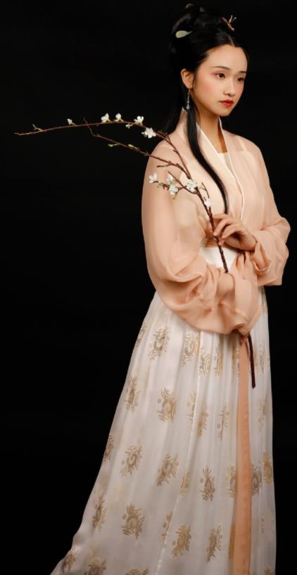 Traditional Chinese Song Dynasty Aristocratic Mistress Hanfu Dress Ancient Drama Nobility Lady Replica Costumes for Women