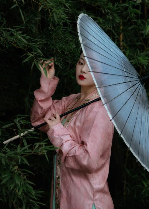 China Ancient Young Beauty Hanfu Dress Garments Traditional Song Dynasty Patrician Woman Historical Clothing